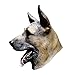 Produktbild Deutscher Schäferhund Elsässer Latex Maske Hund Tier Halloween Haustier 'The Rubber Plantation tm'