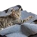 Produktbild CanadianCat Company ® | Spielteppich XXL für Katzen 90 x 120 cm Katzenspielteppich in grau