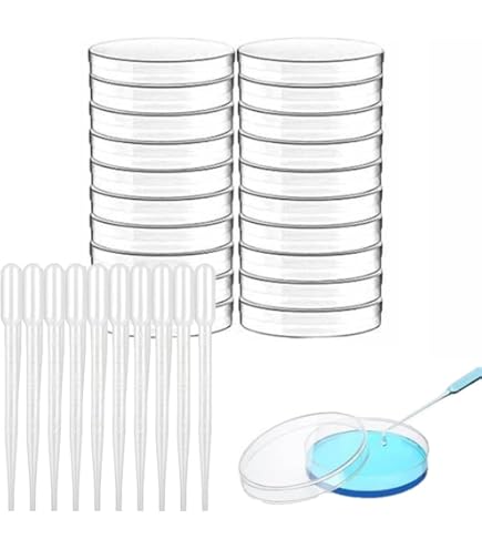 Cabilock 10er Set Quadratische Petrischalen Mit Deckel – Steril, Transparent, 10x10cm, Für Mikrobiologie, Pflanzenforschung & Schulversuche