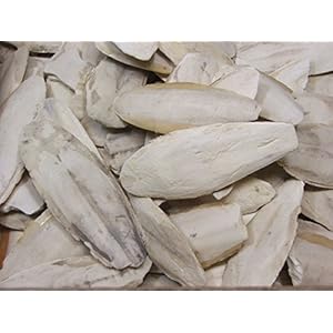 Sepia-Schalen Bruch 900 g