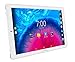 Produktbild ARCHOS Core 101 3G V2 16GB silber-  3G Tablet  (10,1'' HD - 0,3/2MP - Quad core  - Metallgehäuse - Android 7.0 Nougat)