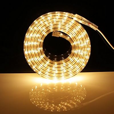 Q.Laomi Ruban LED 1 Mètres avec Interrupteur 220V 5050 IP65 étanche , Blanc Chaud
