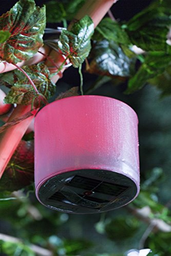Technaxx LED RGB Solarlaterne LX03, aufblasbar & wassergeschützt, mit Solarpanel & verschiedenen Beleuchtungsmodi - 6