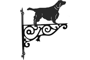 STEEL IMAGES Welsh Springer Spaniel Ornamental Hanging Bracket