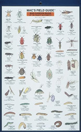 Mac's Field Guide: Bad Garden Bugs of the Pacific Northwest : Good Garden Bugs of the Pacific Northwest livre