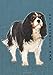 Produktbild A4 Notebook 6mm: Cavalier King Charles Spaniel Dog Lined Exercise Book