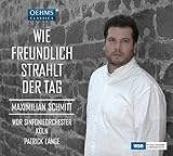 Wie Freundlich Strahlt der Tag - Maximilian Schmitt