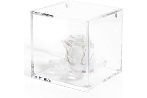 DC DEBORA CARLUCCI Debora Carlucci Rosa Stabilizzata Vera con 4 Petali in Cristallo Eterna in Cubo Idea Regalo Donna Compleanno Anniversario Matrimonio Festa della Mamma Bomboniera Blu-Bianco-Rosa-Rossa (Panna)