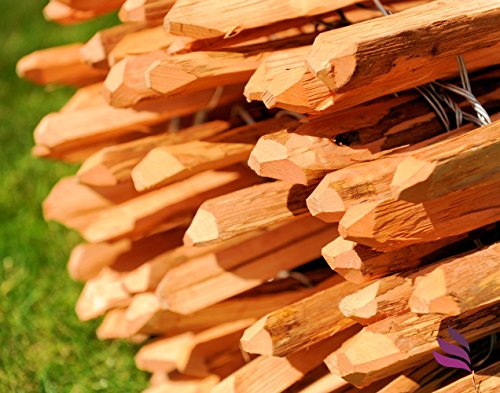 Imprägnierter Staketenzaun, Holzzaun mit sicheren Spitzen als Gartenzaun, Weidezaun, Teichschutzzaun. Holzart: Haselnußholz (Corylus avellana L) – Länge: 5m, Lattenabstand:(3-4 cm), Höhe:120 cm - 7