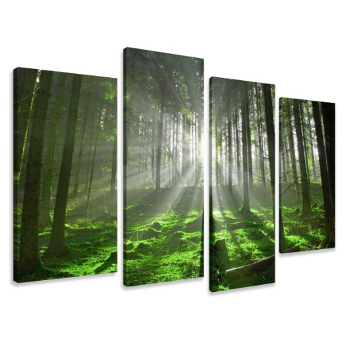 Visario 6130 Canvas Picture 130 x 80 cm Nature