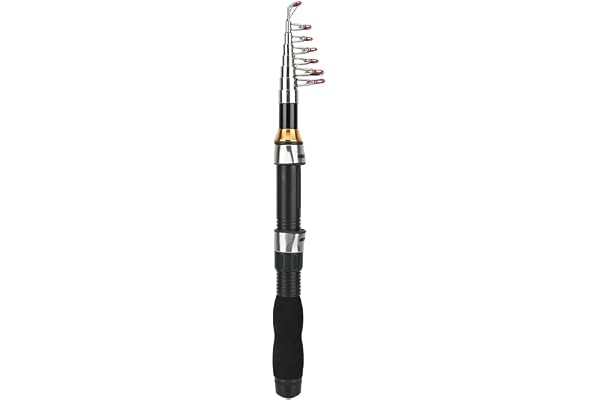 Alomejor Mini Canne à pêche de Poche Canne à pêche Stylo pour la pêche en mer Pêche en Eau Douce en Eau de mer extérieure(1.7m)