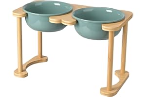 SPUNKYJUNKY Comedero Elevado de cerámica para Perros y Gatos (1600ml, Verde Oscuro)