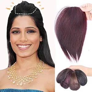 Straight Thick Head Crown Upholder Wiglet Clip on Human Hair Topper for Women Puff Hairstyles 22cm/2 clips Wine Red
