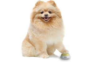 MOMO'S CHOICE Momo’s Choice Addestramento Cani Gatti Pulsante Buzzer specifico per Animali Domestici con Registrazione Vocale Campanelli Addestramento per Cane Giocare e Comunicare con Cane Gatto (Set da 4)