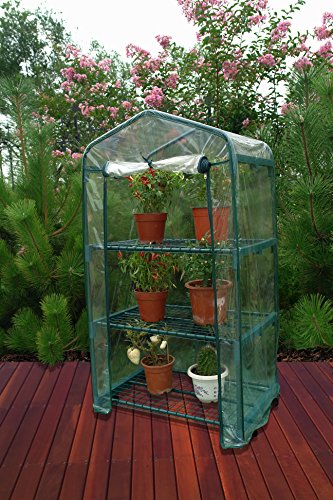 UPP® Gewächshaus mobil m. Rollen/ Treibhaus/ Frühbeet/ Pflanzenhaus/ Tomatenhaus/ Foliengewächshaus/ Anzuchthaus/ Pflanzenregal - 2