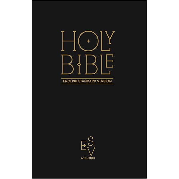 洋書 The HOLY BIBLE English standard version 61fdc0ltthl._sl1500_.jpg