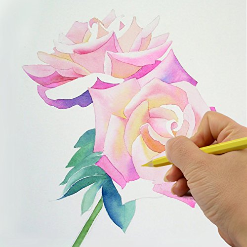 Generic Buntstifte Set (36er Pack) Hochwertige Kunst-Buntstifte für das Buntmalen der Erwachsenen, Schulprojekte, Zeichnen & mehr - 6