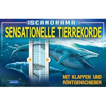 Scanorama - Sensationelle Tierrekorde (Meyers Kinderwissen / Scanorama)