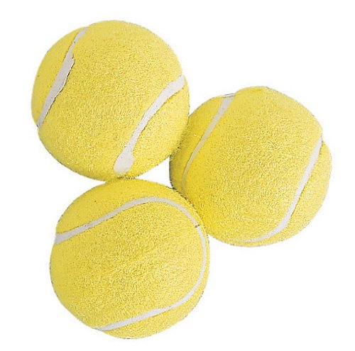 Preisvergleich Produktbild Champion Sports Tennisbälle (3 Pack)