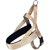 Trixie Premium Norweger Hund harness-parent