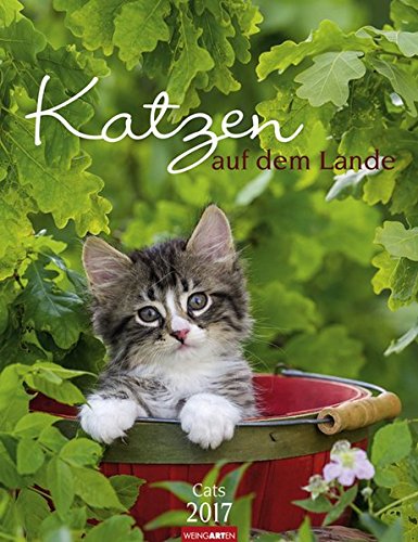 Katzen auf dem Lande - Kalender 2017