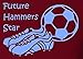 Hat-Trick Designs West Ham United Football Baby/Kids/Childrens Hoodie Sweatshirt-7-8Yrs-Claret-Future Star-Unisex Gift