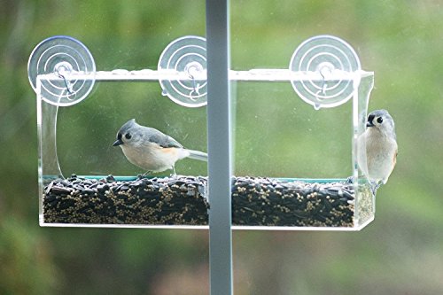 Vogelhaus Fenster, Vogelhäuschen, Vogelfutterhaus, Vogelfutterstation mit Wasserschale, 64 Drainagelöcher, 3 Saugnäpfe und Abnehmbar Tablett- Transparent by ApoGo - 5