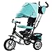 Produktbild Dreirad Kinder Dreirad 1-3 Jahre alt Multifunktions Baby Fahrrad Kinderwagen Wagen Kinder 3 Räder ( Farbe : Blau )