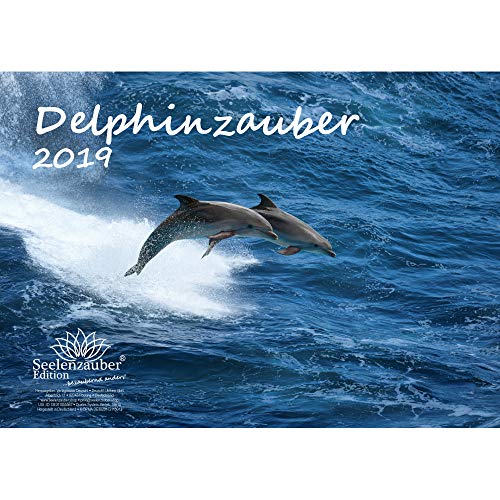 Download Dauphin magique – DIN A4 – Premium Calendrier 2019 – Plongée – Dauphin – Dauphin – Poissons – La mer – Coffret Cadeau avec 1 carte de vœux et 1 Carte de Noël – Edition âme magique Download Dauphin magique – DIN A4 – Premium Calendrier 2019 – Plongée – Dauphin – Dauphin – Poissons – La mer – Coffret Cadeau avec 1 carte de vœux et 1 Carte de Noël – Edition âme magique