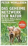 Das geheime Netzwerk der Natur: Wie Bäume Wolken machen und Regenwürmer Wildschweine steuern