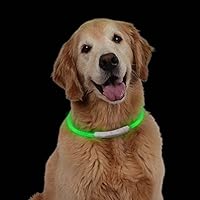 [Gesponsert]LED Hundehalsband Leuchtendes Halsbänder Nacht Hundeband Blinkende Sicherheit Hunde Halsband für Hund und Katzen