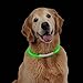 Produktbild LED Hundehalsband Leuchtendes Halsbänder Nacht Hundeband Blinkende Sicherheit Hunde Halsband für Hund und Katzen