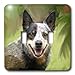 Price comparison product image 3dRose LSP_4789_2 Australian Cattle Dog Double Toggle Switch