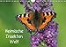 Produktbild Heimische Insekten Welten (Wandkalender 2019 DIN A4 quer): Schmetterlinge und andere Insekten in Deutschland (Monatskalender, 14 Seiten ) (CALVENDO Tiere)