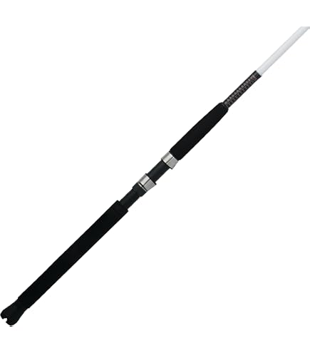 Ugly Stik Shakespeare 5'6” GX2 Casting Rod, One Piece Casting Rod, 8-20lb Line Rating, Medium Rod Power, Moderate Fast Action, 1/4-5/8 oz. Lure Rating, Black: Buy Online at Best Price in UAE
