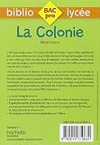Image de Bibliolycée Pro - La Colonie - Marivaux