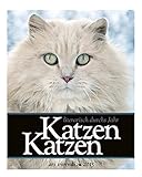 Image de Literarischer Katzen-Kalender 2015