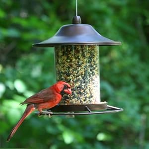 Perky-Pet Mangiatoia Panorama Piccola per Uccelli da 900 g Color Marrone Rustico / 312 - immagine 4