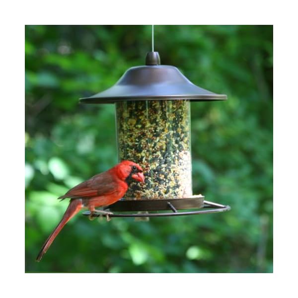 Perky-Pet Mangiatoia Panorama Piccola per Uccelli da 900 g Color Marrone Rustico / 312