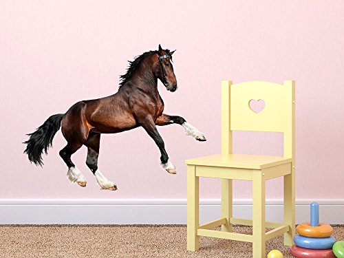 Graz Design 641056_57 Wandsticker Wandtattoo Wandaufkleber Tiere Pferd Dressur Hengst Mdchen (Gre=72x57cm) - 2
