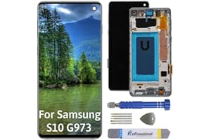 Int'x Full INCELL Display für Samsung S10 G973 LCD Bildschirm Ersatz Touchscreen mit Werkzeug Schwarz mit Rahmen Hohe Qualität