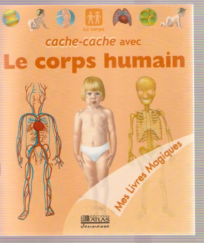 couverture de : Cache-cache avec le corps humain