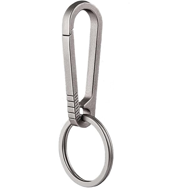 Ster karabijnhaak sleutelhanger Cool sleutelhanger extra groot glanzend chroom, Karibiner minimale legering materiaal zilver schattig voor auto sleutels portemonnee handtas tas Charms