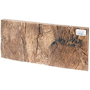 Kork Rückwand Laos, 600x300x15 mm, 2 St.