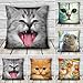 Produktbild 3D Cute Expressions Katzen Überwurf Kissen Sofa Büro Auto Kissenbezug Geschenk ^.