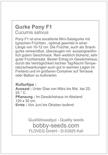 Bobby-Seeds Gurkensamen Pony F1 Portion - 3
