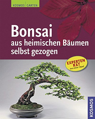 Preisvergleich Produktbild Bonsai aus heimischen Bäumen selbst gezogen