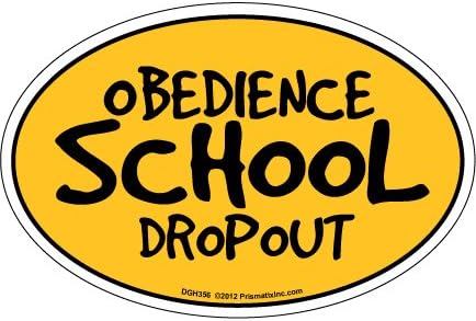 Prismatix Decal Cat and Dog Magnets, Obedience School Dropout