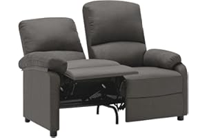 FAMIROSA vidaXL Divano Reclinabile a 2 Posti Grigio Scuro in Tessuto