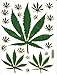Produktbild Cannabis Pflanze Aufkleber 20-teilig 1 Blatt 135 mm x 100 mm Sticker Basteln Kinder Party Metallic-Look